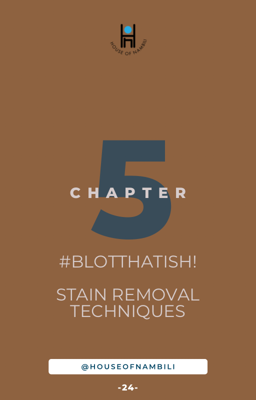 Chapter 5: Stain Removal Technique |SewFresh, So Clean Guide - FREE DOWNLOAD