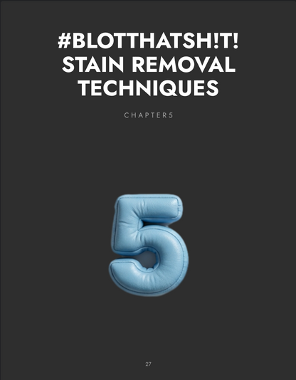 Chapter 5: #BLOTTHATSH!T! Stain Removal Techniques |SewFresh, So Clean Guide - FREE DOWNLOAD